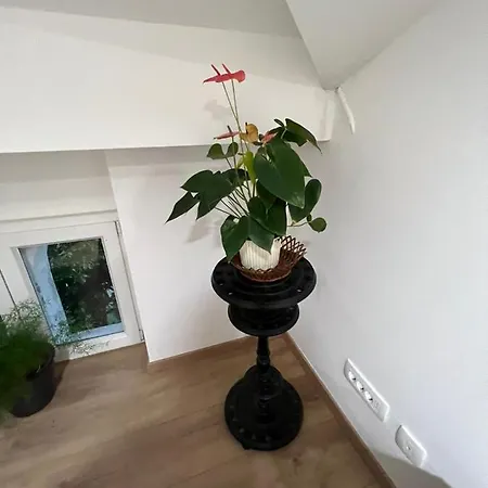 Apartmán Mt70